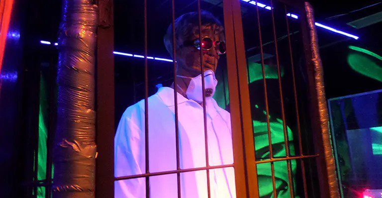 Aspekty_podgotovki_labirinta_dlia.width-910.format-webp (1).jpg